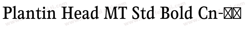 Plantin Head MT Std Bold Cn字体转换